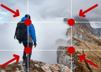 ¿En qué consiste la composición fotográfica y cuáles son sus componentes?