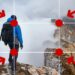 ¿En qué consiste la composición fotográfica y cuáles son sus componentes?